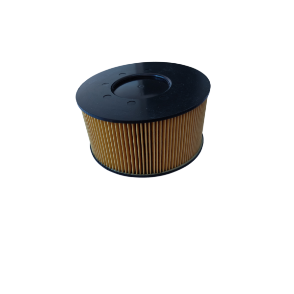 Filtro De Aire Bmw Serie 3 N42 N46 E46 318 Comline