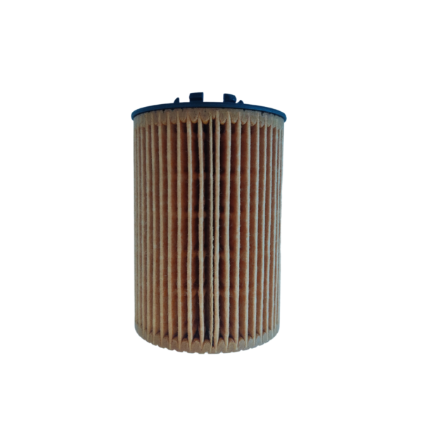 Filtro De Aceite Bmw E60 E61 E63 E64 E66 E53 Comline