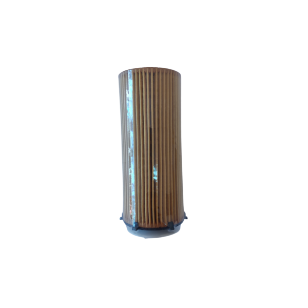 elemento filtro aceite BMW 3 08->13, 5 09->17, 7 08->15, X5 08->13, X6 09->14